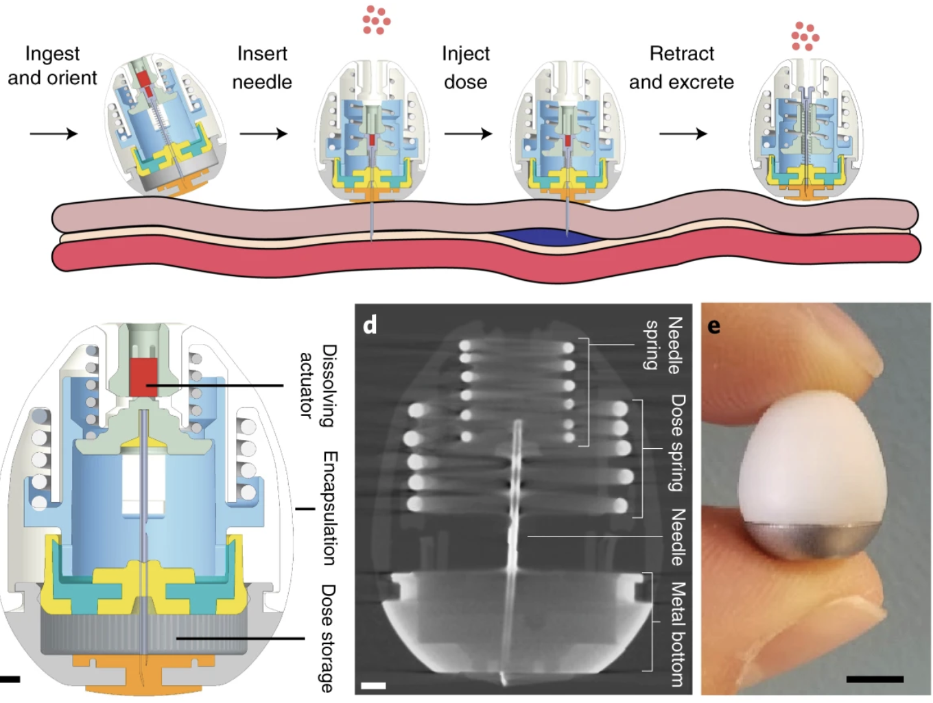 turning injections into pills
