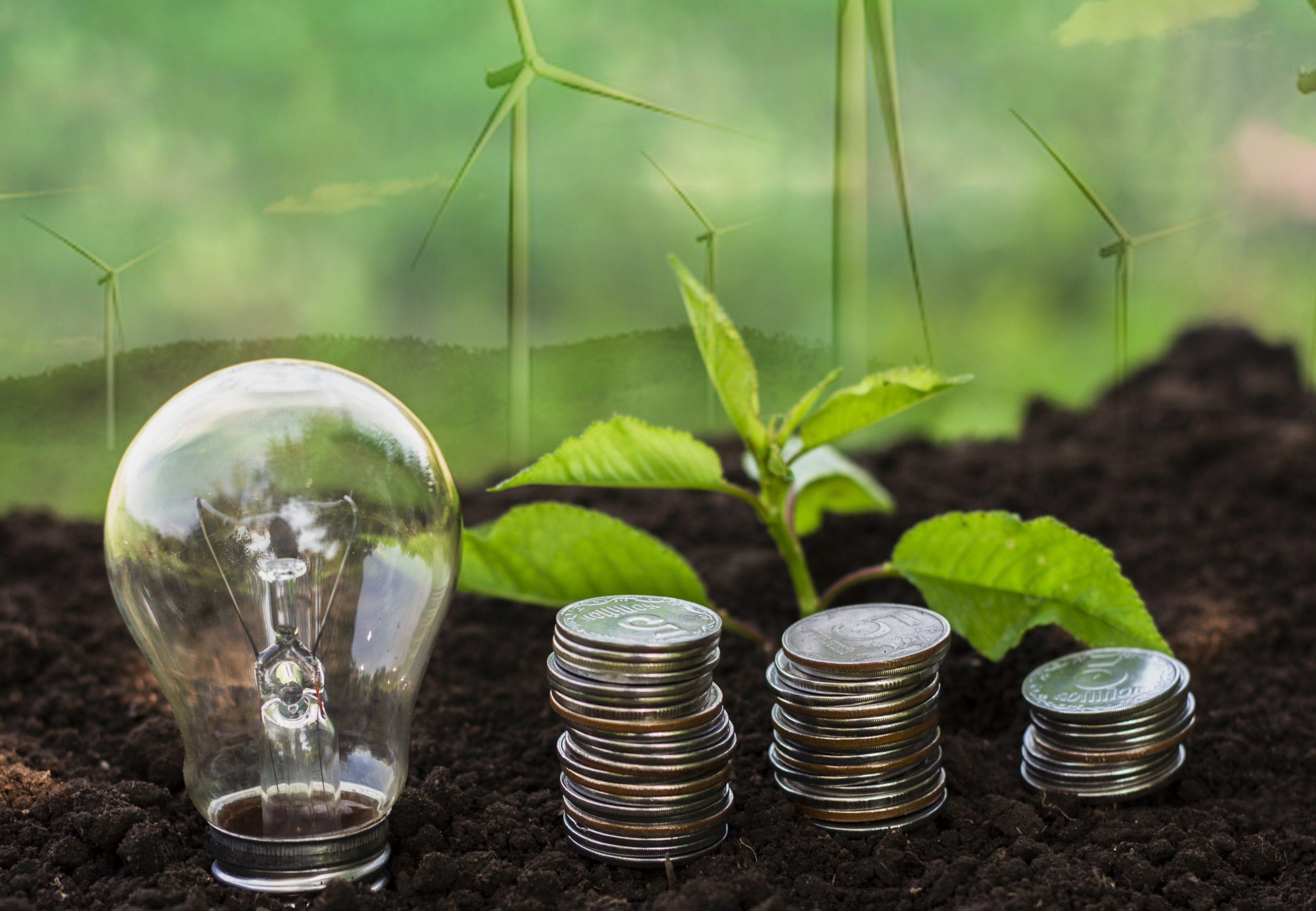 Africa investment VC Equator raises US$55M for climate tech