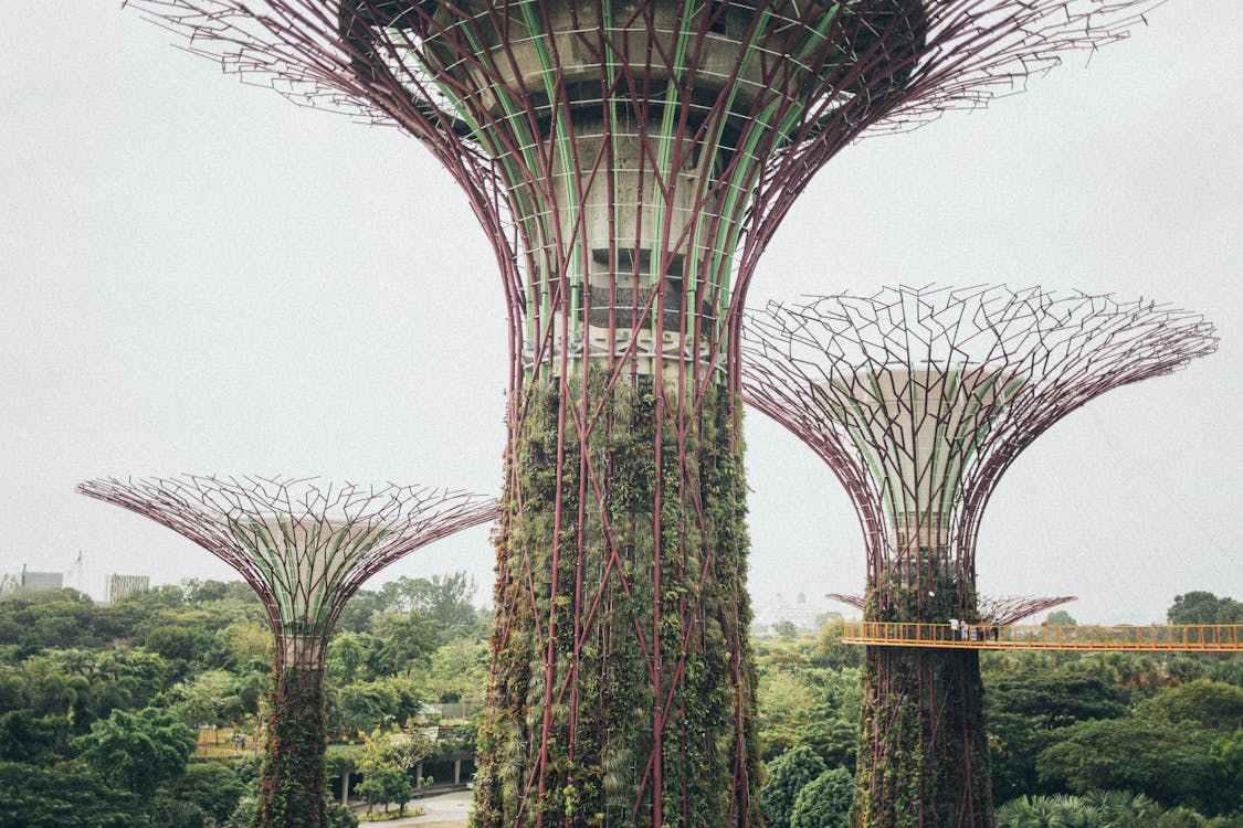 Futuristic Supertree Grove in Singapore