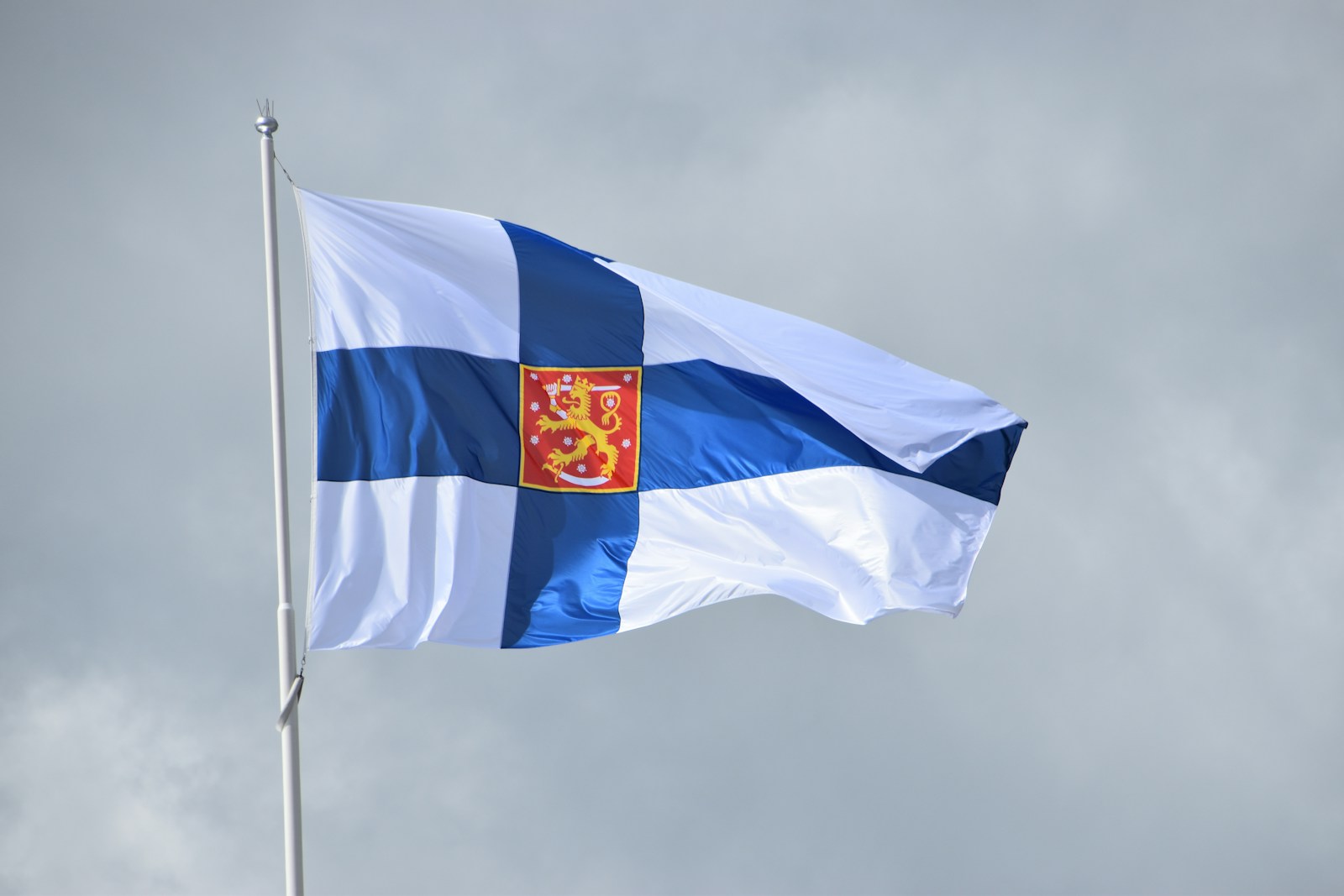 a blue and white flag flying in the wind