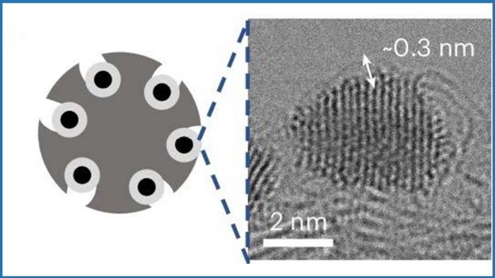 fuel cell