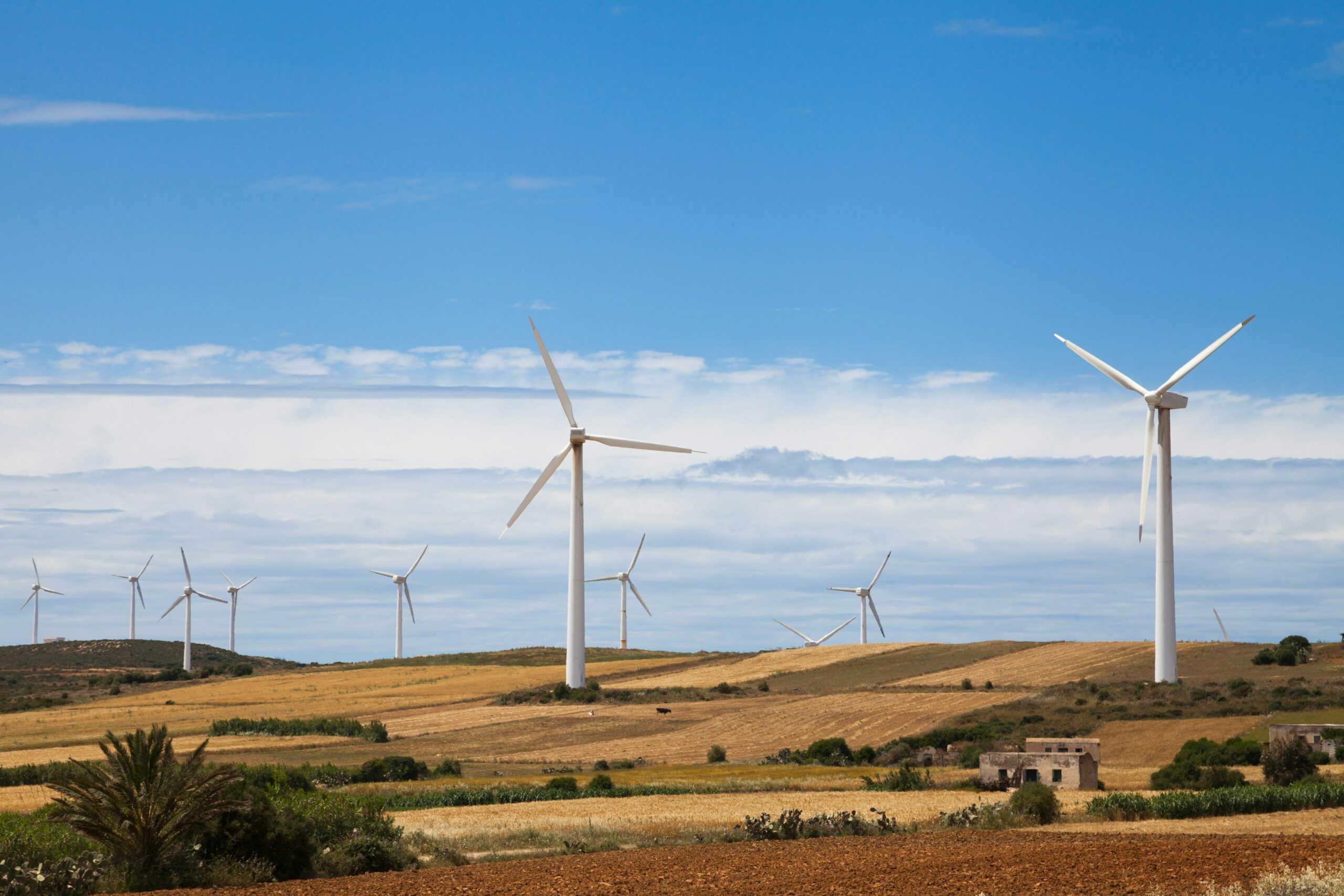 More than 80% of renewables projects encounter issues in development. Credit: Anastasia Palagutiina