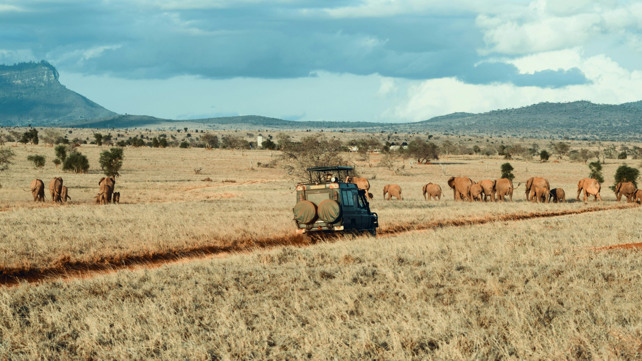 Africa's climate tech entrepreneurs need more funds from investors. Credit: Cédric Dhaenens