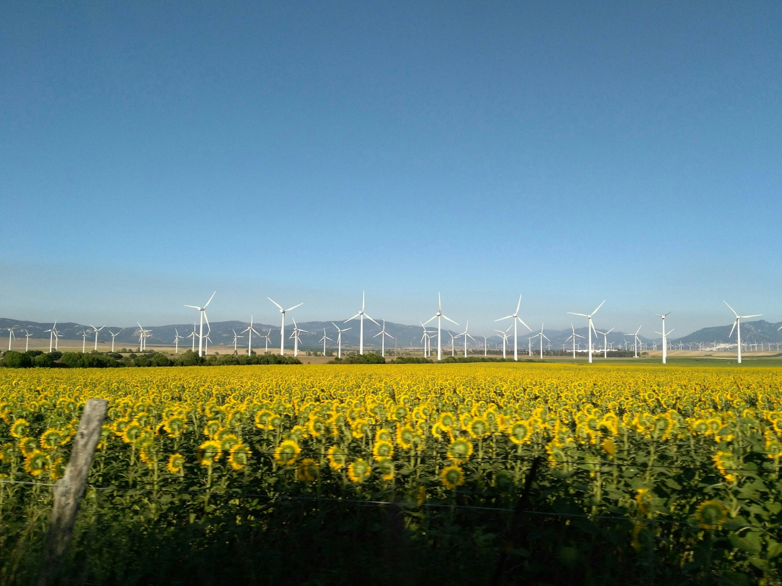Climate tech needs 50 gigacorns, investor says. Credit: Johanna Montoya